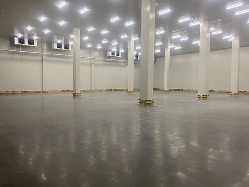 貨運物流中的信譽與專業服務 化工品、冷鏈整車與零擔運輸解析